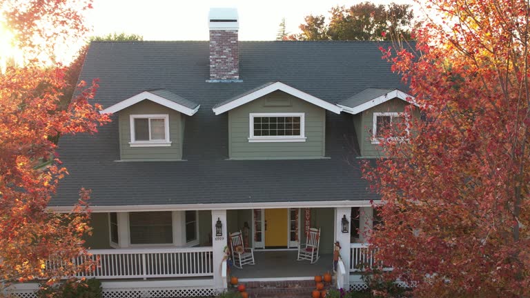 Best Roof Moss and Algae Removal  in Sulphur, OK